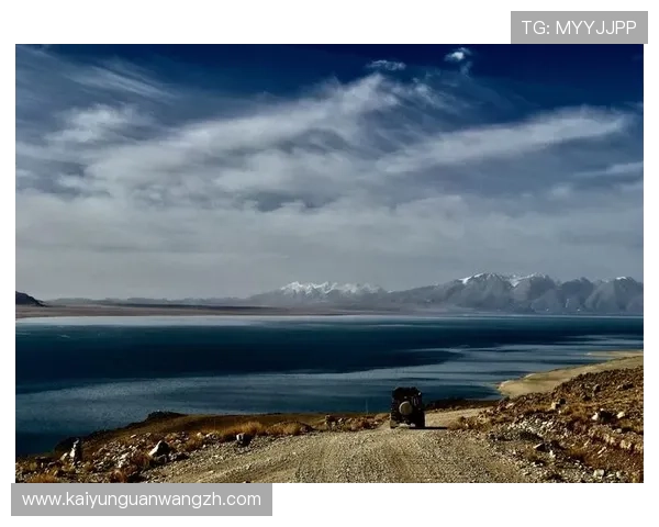 开云入口网址官方登录页面，详细步骤帮助用户快速进入开云平台使用服务